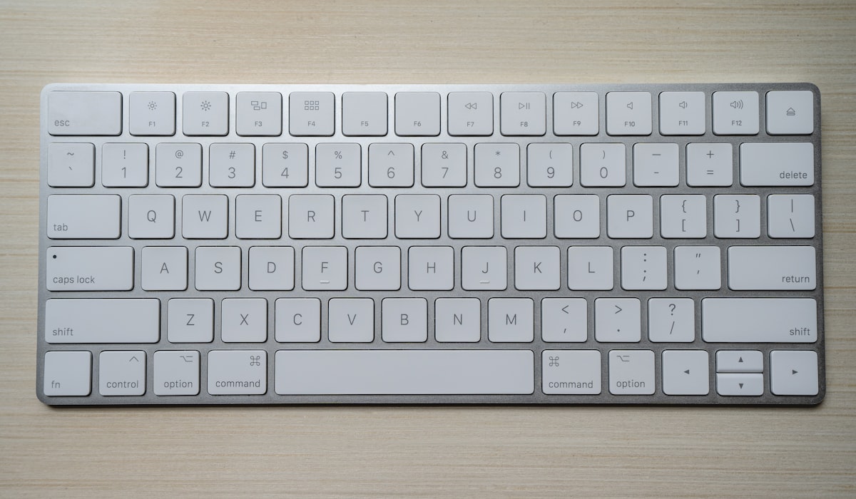Linear vs tactile: which is right for you?